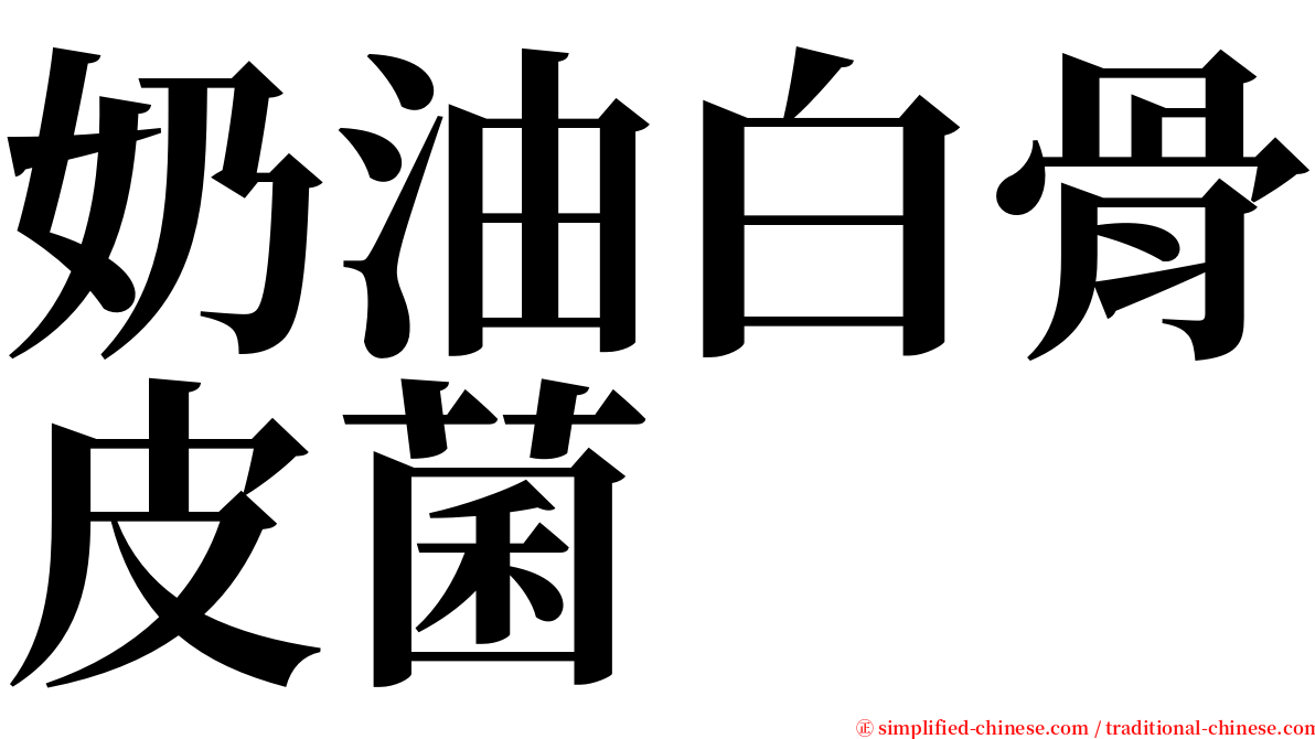 奶油白骨皮菌 serif font