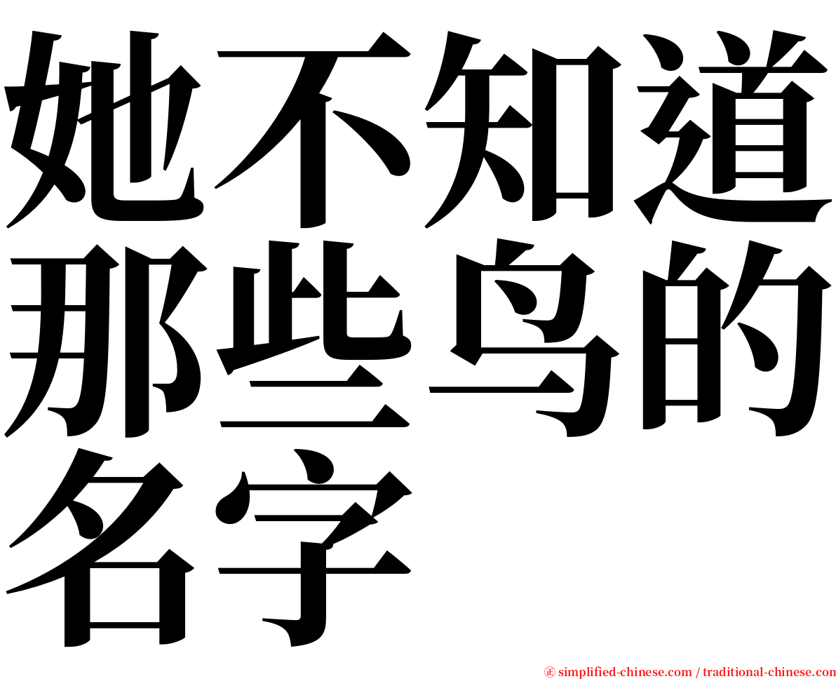 她不知道那些鸟的名字 serif font