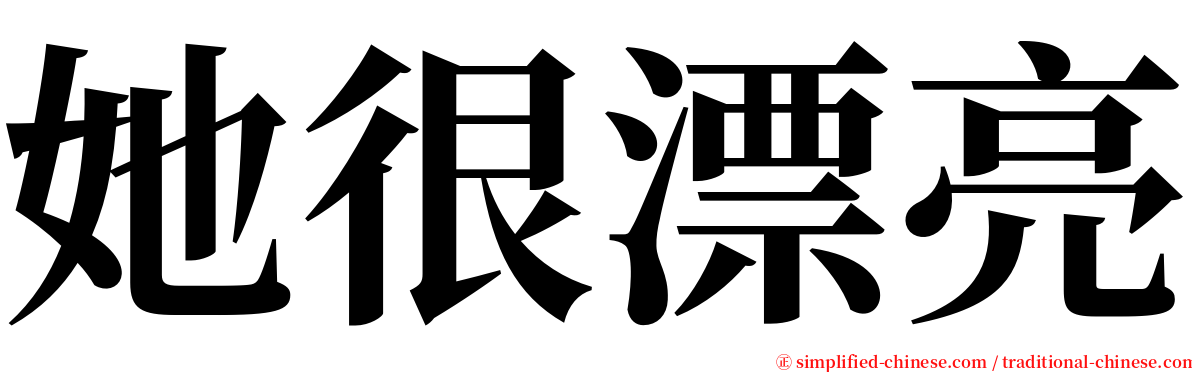 她很漂亮 serif font