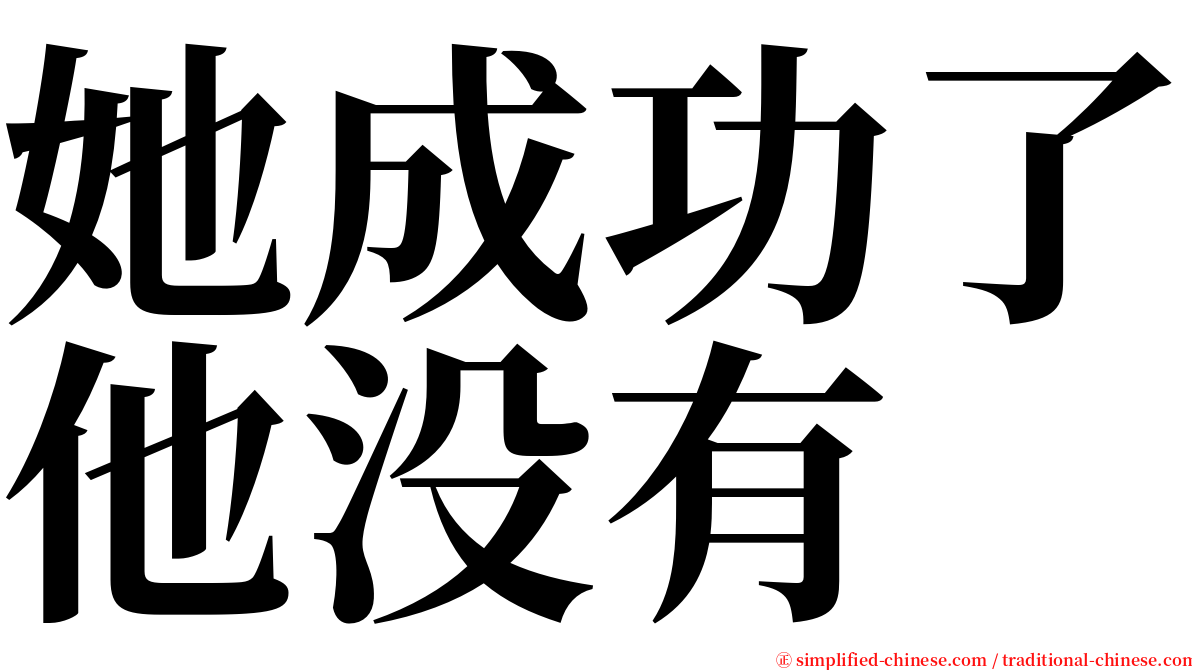 她成功了他没有 serif font