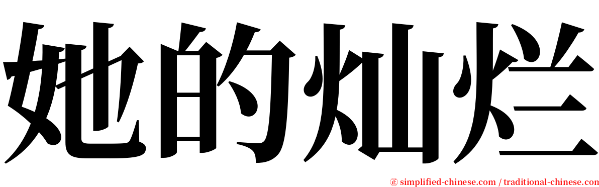 她的灿烂 serif font