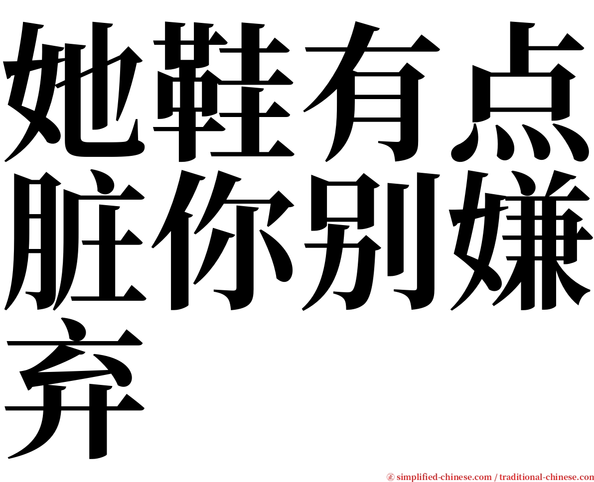 她鞋有点脏你别嫌弃 serif font