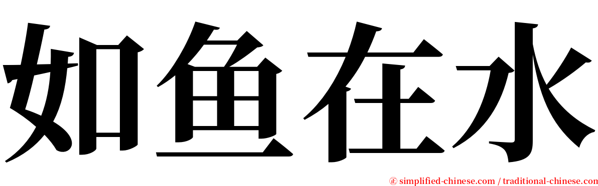 如鱼在水 serif font