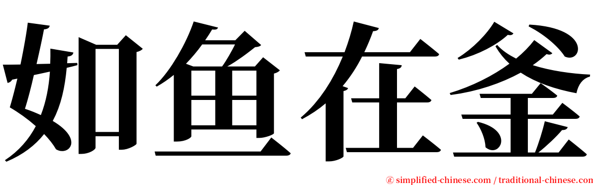 如鱼在釜 serif font