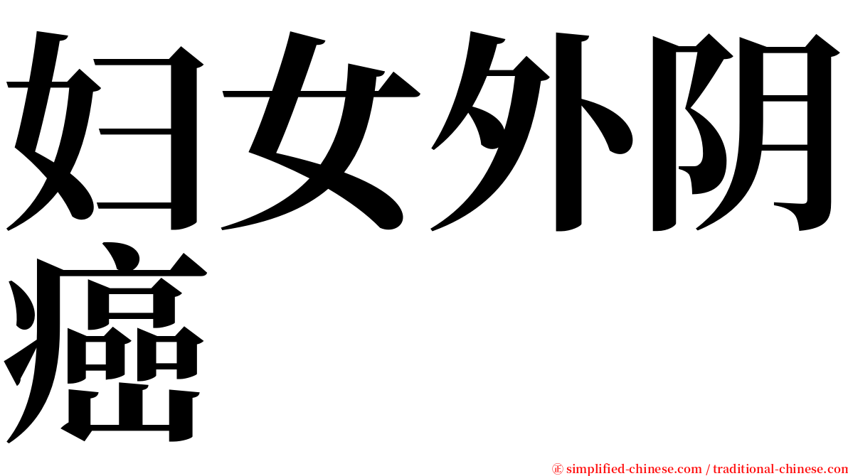 妇女外阴癌 serif font