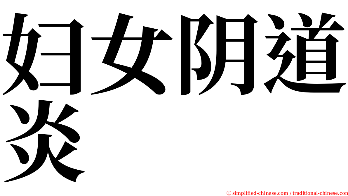 妇女阴道炎 serif font