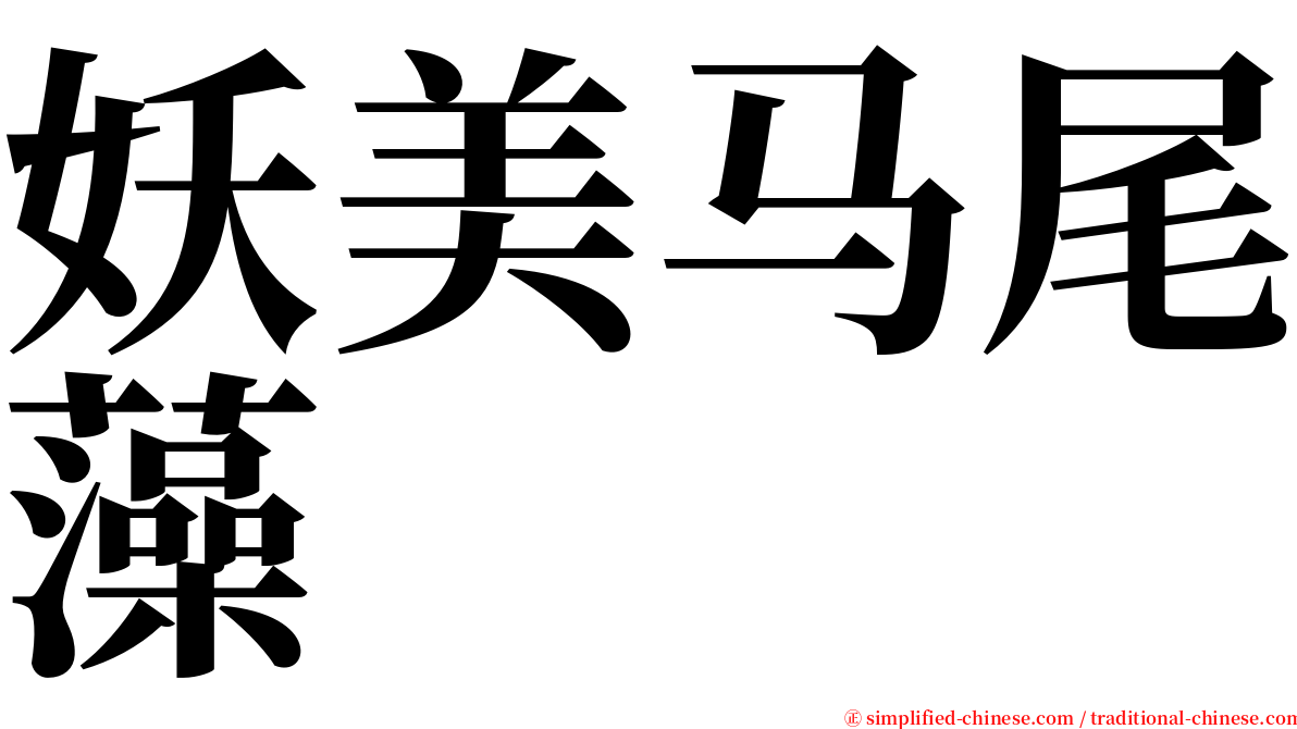 妖美马尾藻 serif font