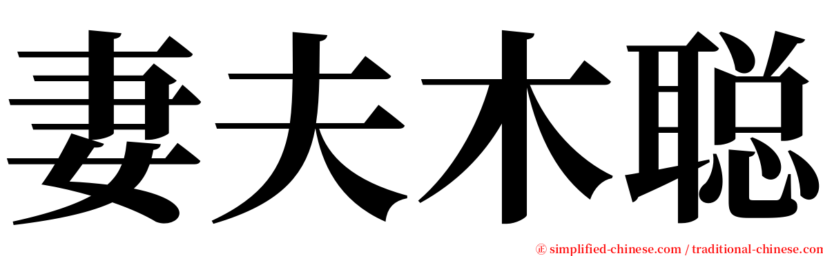 妻夫木聪 serif font