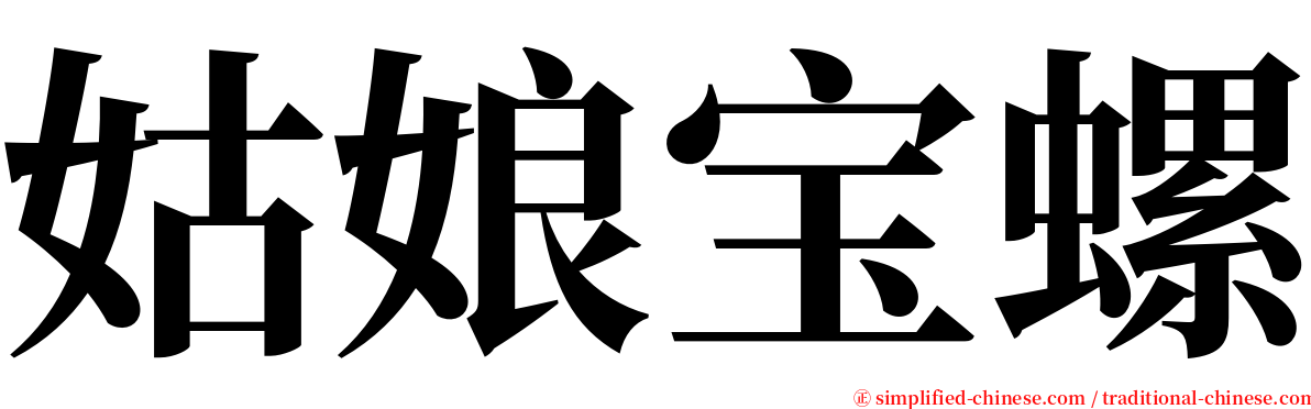 姑娘宝螺 serif font