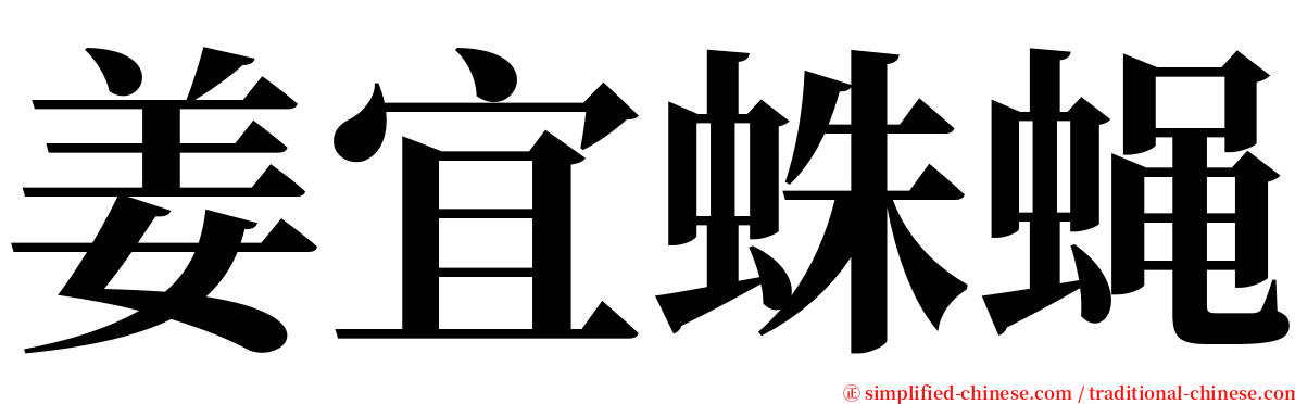 姜宜蛛蝇 serif font