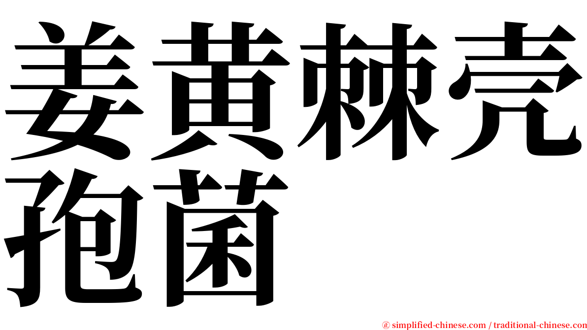 姜黄棘壳孢菌 serif font