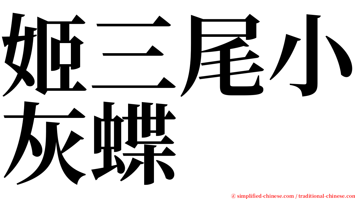 姬三尾小灰蝶 serif font