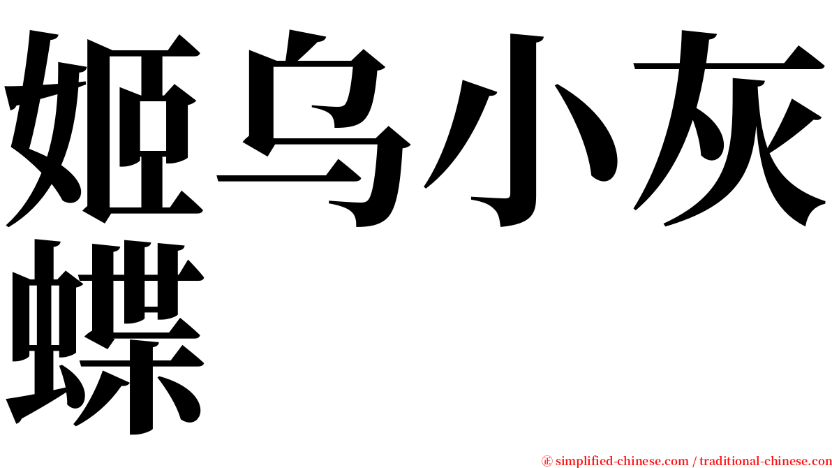 姬乌小灰蝶 serif font