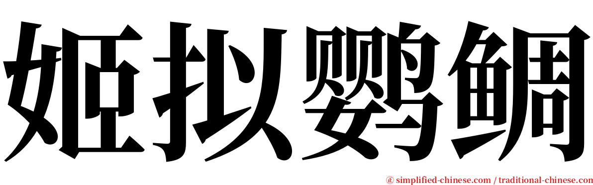 姬拟鹦鲷 serif font