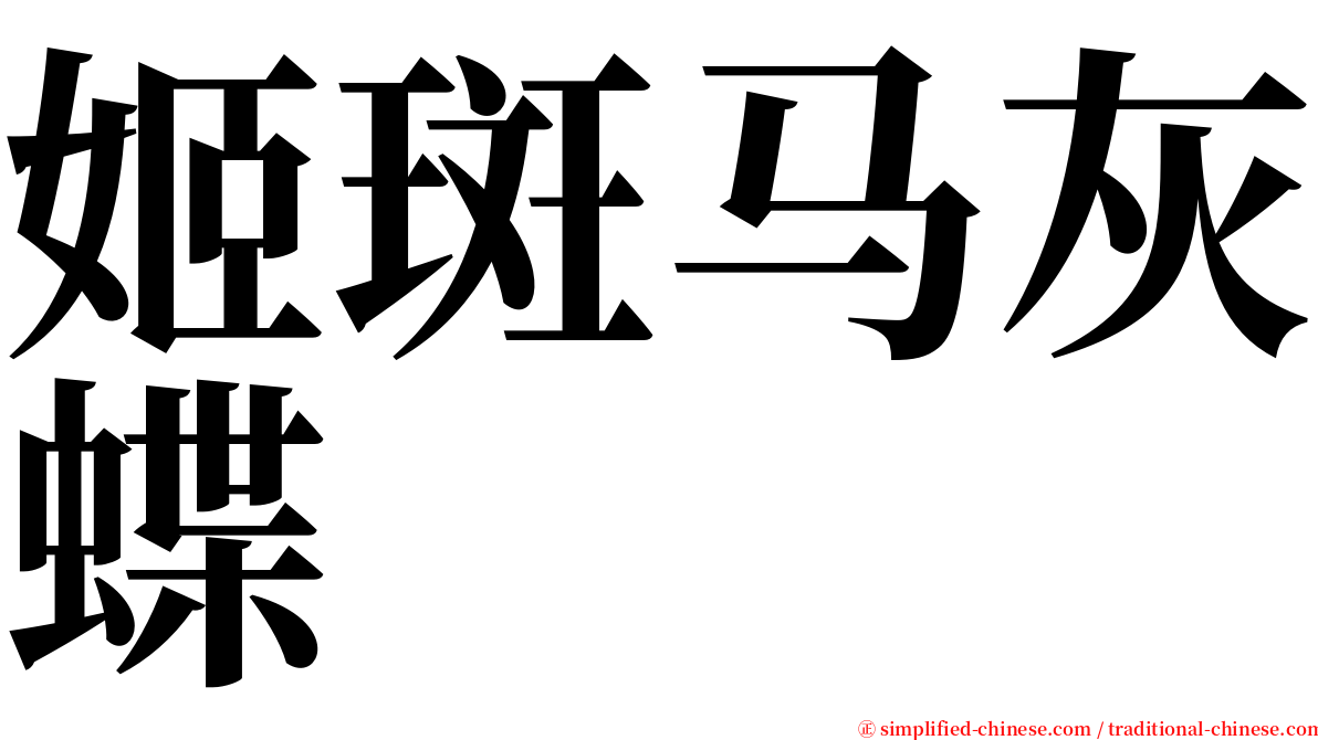 姬斑马灰蝶 serif font