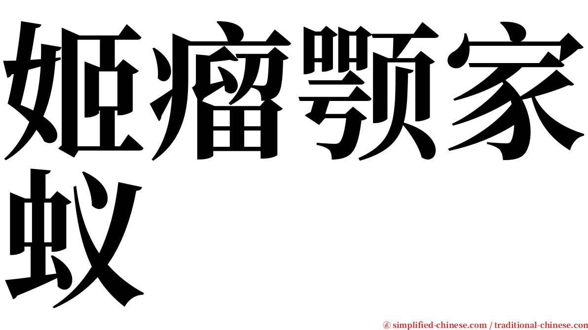 姬瘤颚家蚁 serif font