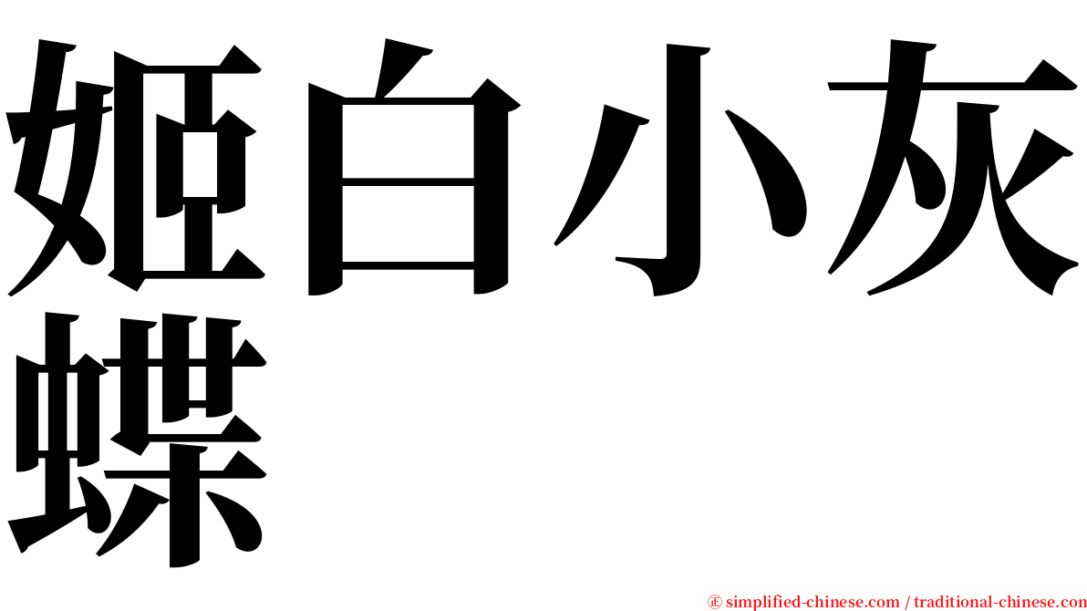 姬白小灰蝶 serif font