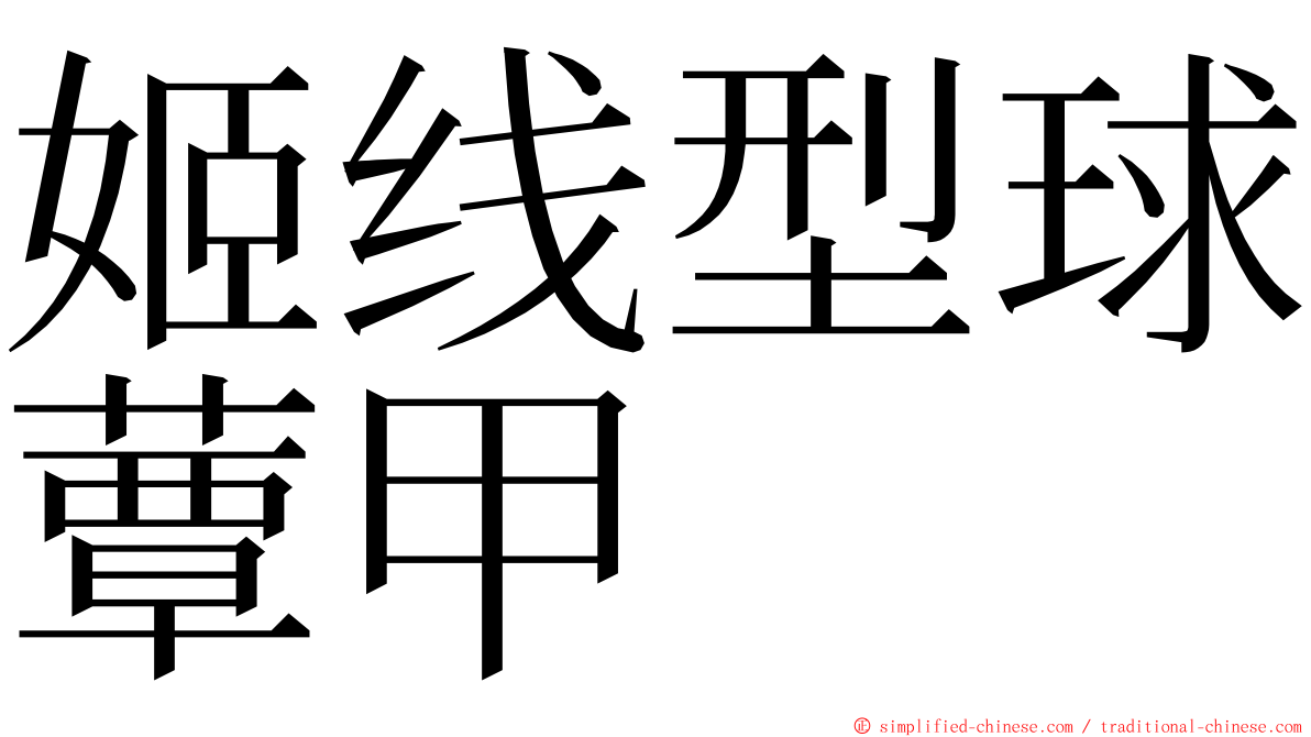 姬线型球蕈甲 ming font