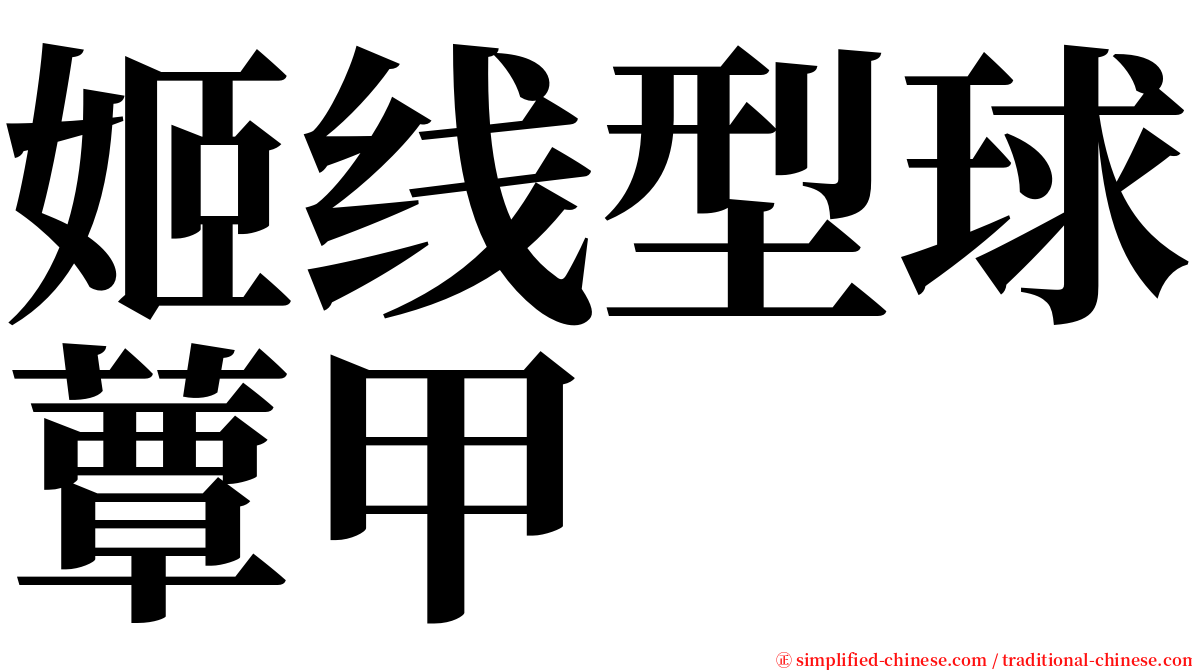 姬线型球蕈甲 serif font