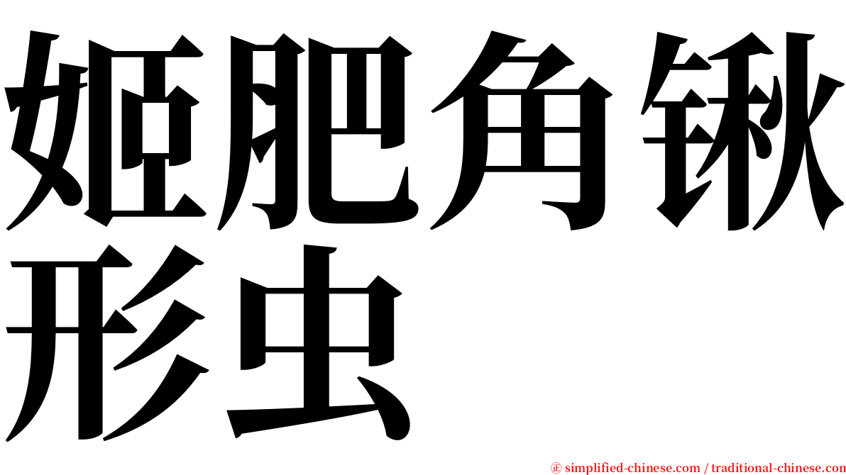 姬肥角锹形虫 serif font