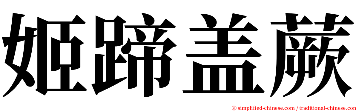 姬蹄盖蕨 serif font