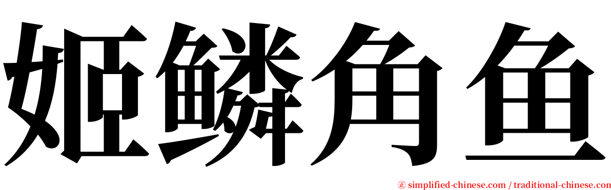 姬鳞角鱼 serif font