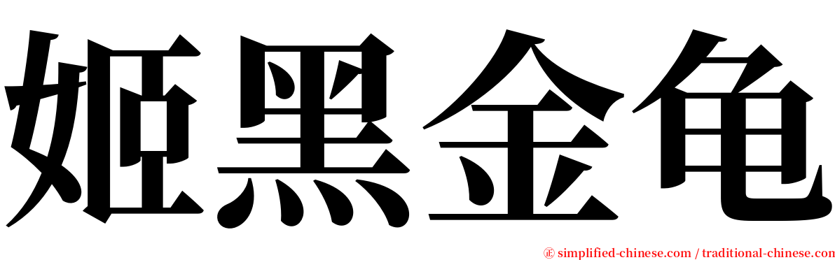 姬黑金龟 serif font