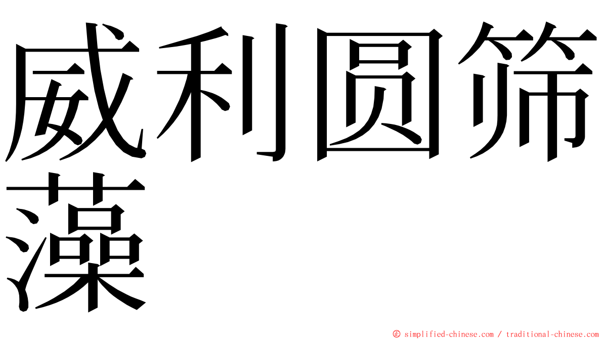 威利圆筛藻 ming font