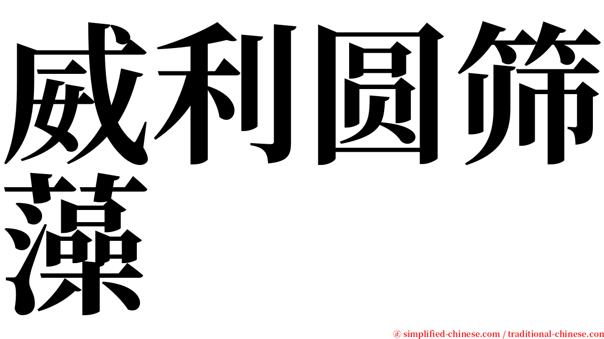 威利圆筛藻 serif font