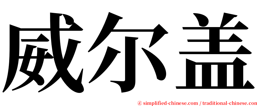 威尔盖 serif font