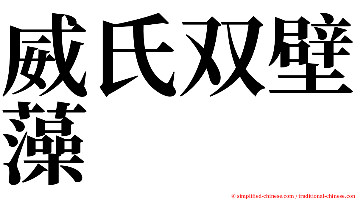 威氏双壁藻 serif font