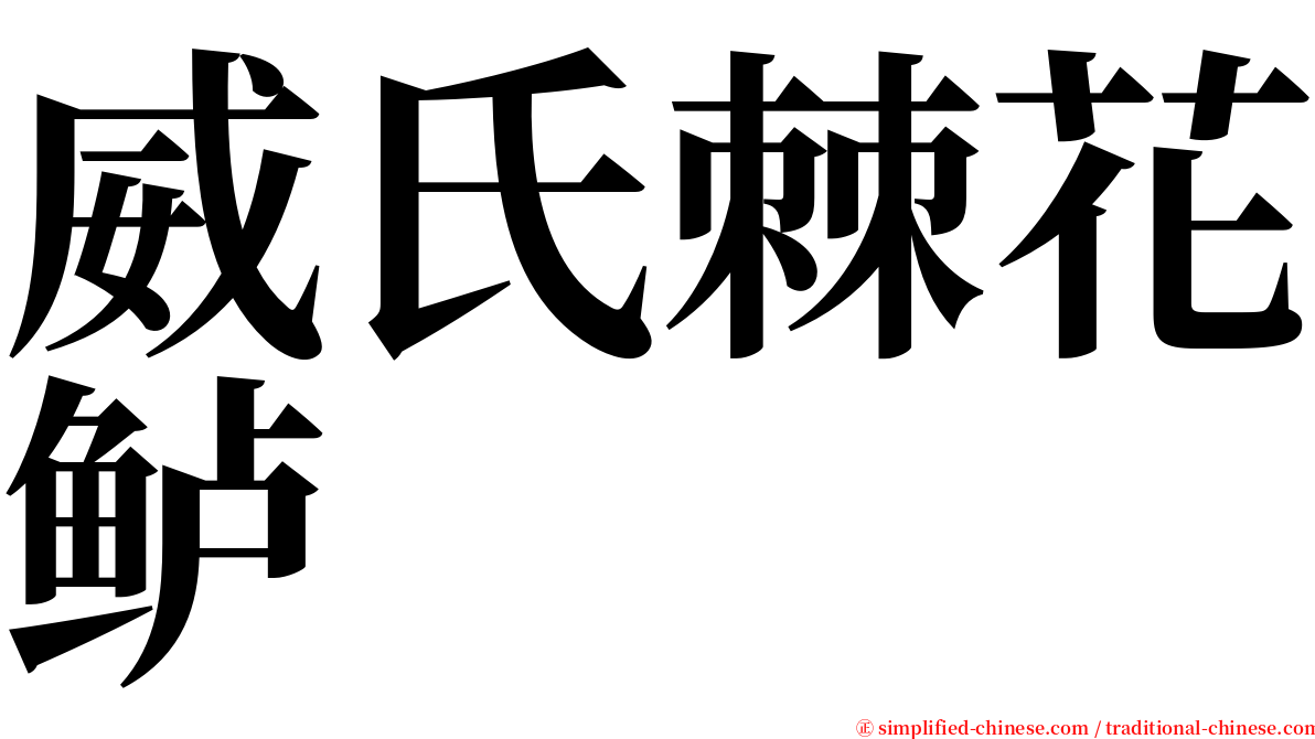 威氏棘花鲈 serif font