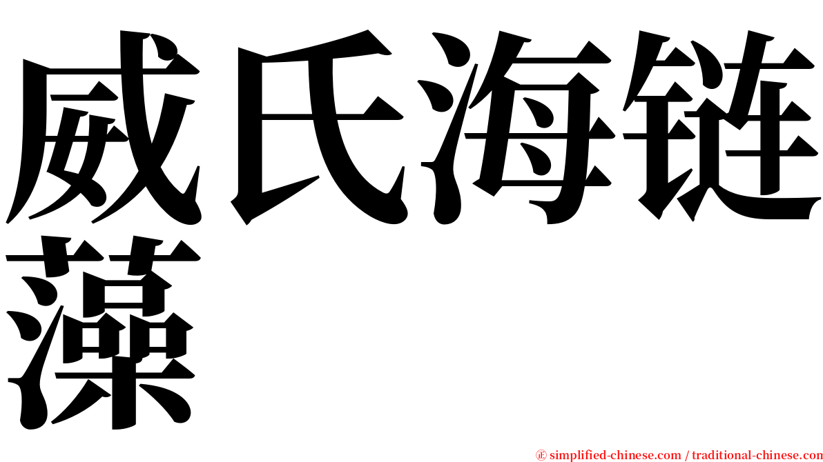 威氏海链藻 serif font