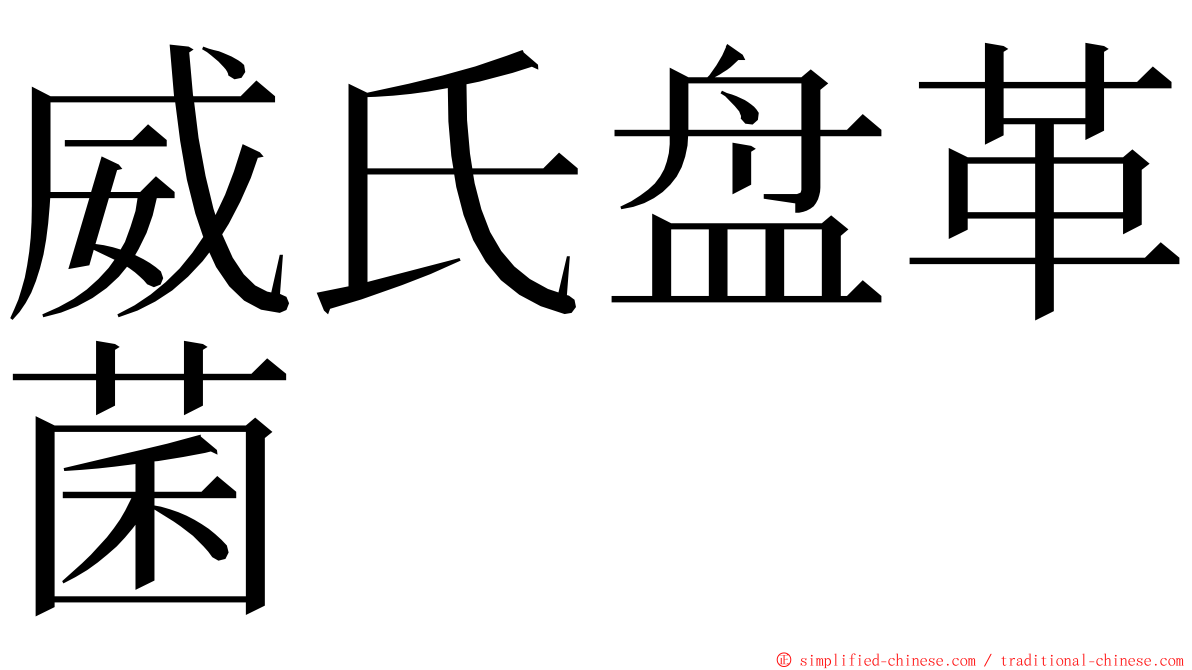 威氏盘革菌 ming font