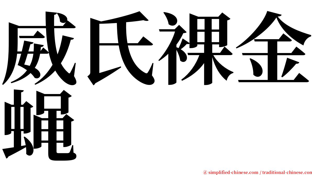 威氏裸金蝇 serif font