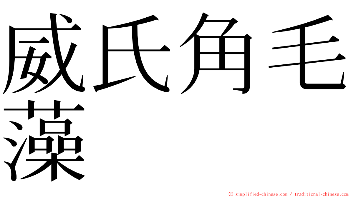 威氏角毛藻 ming font