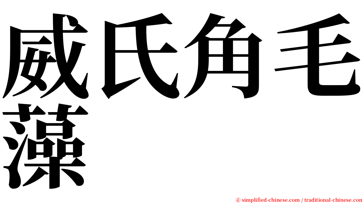 威氏角毛藻 serif font