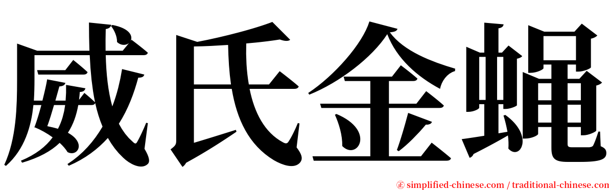 威氏金蝇 serif font