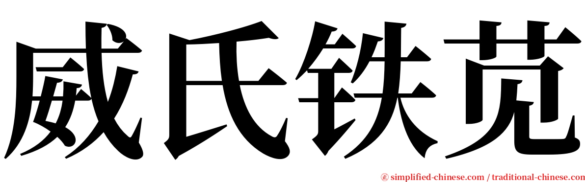 威氏铁苋 serif font