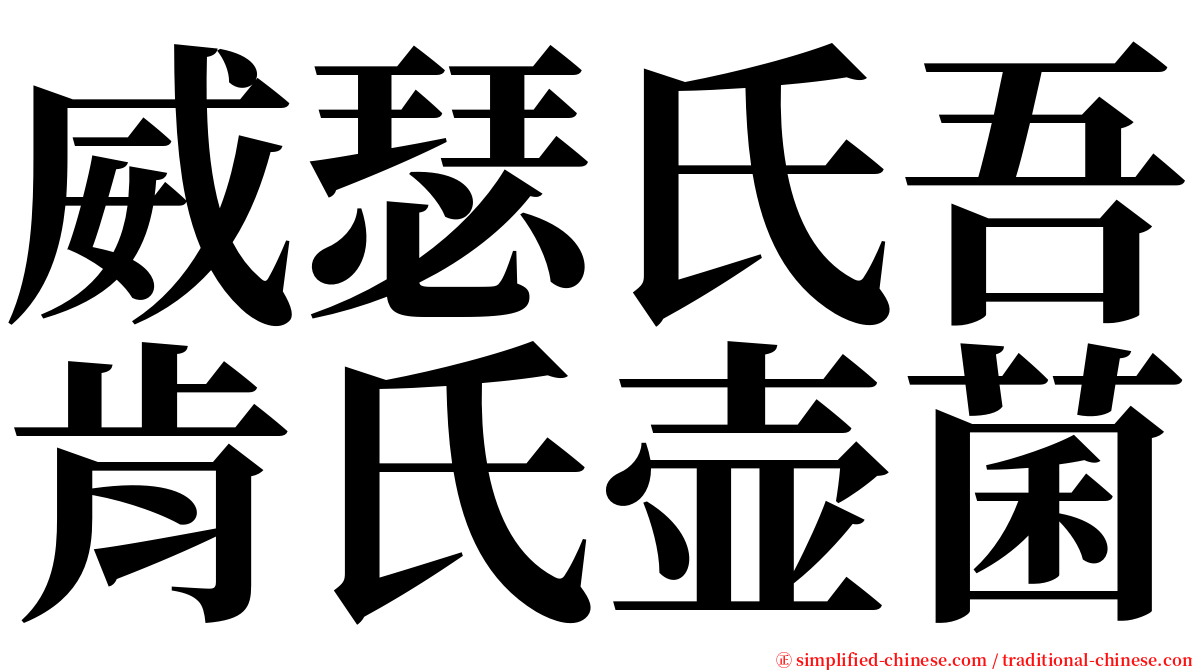 威瑟氏吾肯氏壶菌 serif font