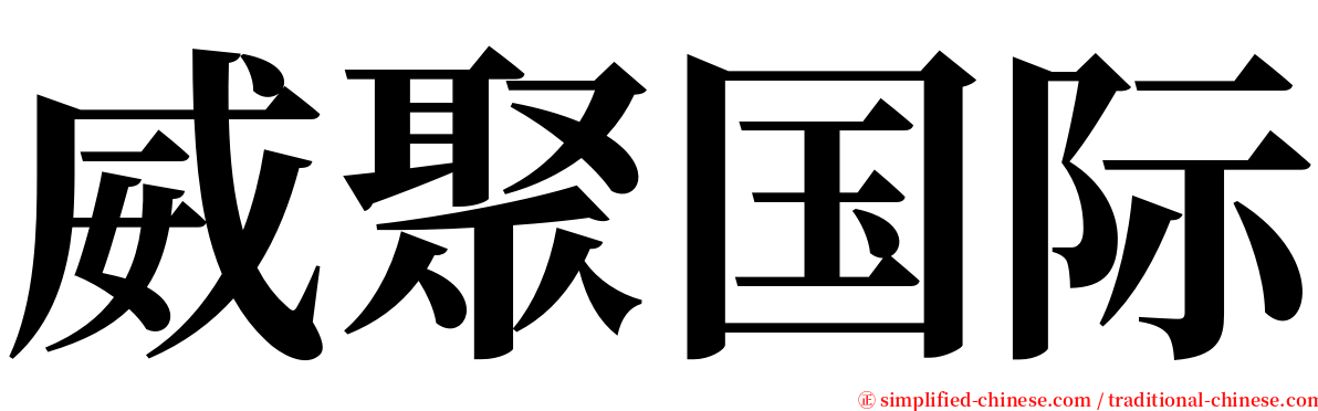 威聚国际 serif font