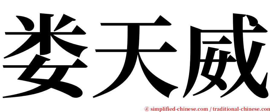 娄天威 serif font