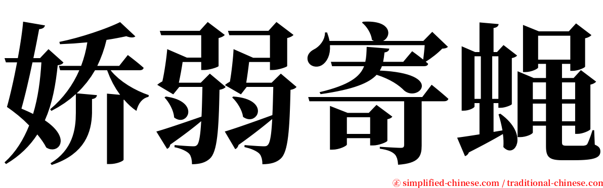 娇弱寄蝇 serif font