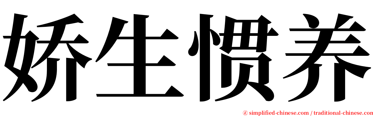 娇生惯养 serif font