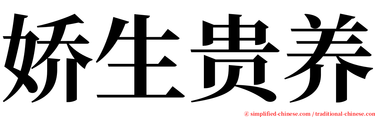 娇生贵养 serif font