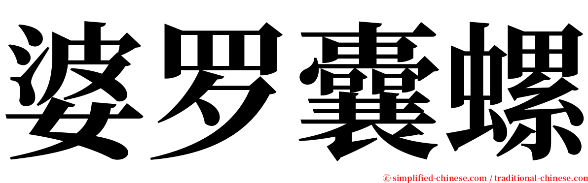 婆罗囊螺 serif font