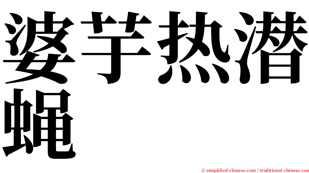 婆芋热潜蝇 serif font