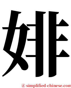 婔 serif font