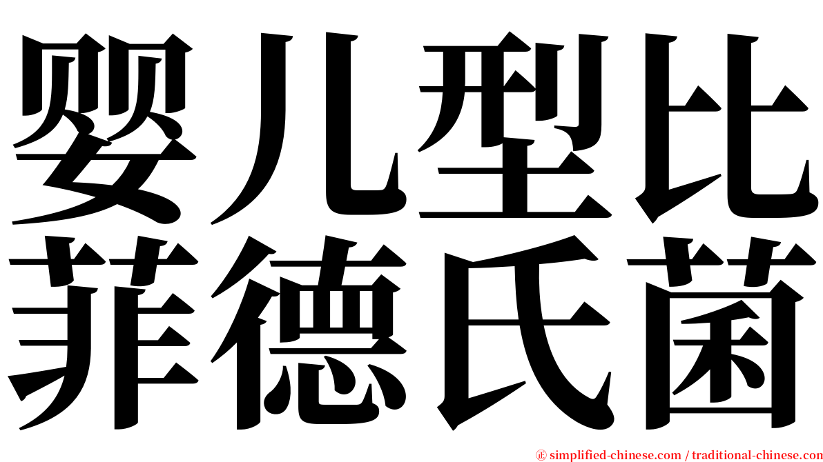 婴儿型比菲德氏菌 serif font