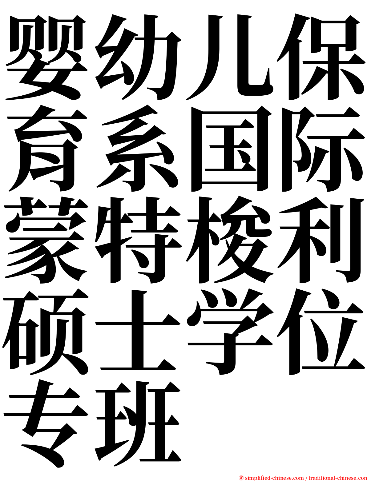 婴幼儿保育系国际蒙特梭利硕士学位专班 serif font